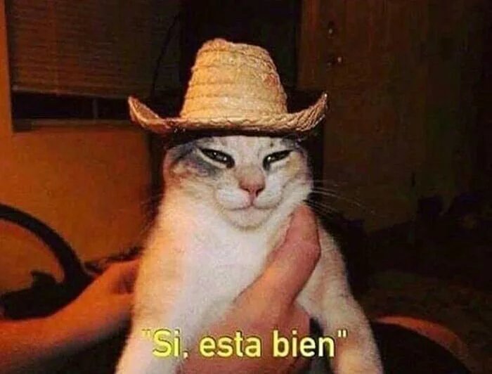 BastienDsrtx's tweet photo. Quand on me demande si je vais bien 2 min après avoir kick une bouteille de tequila https://t.co/Ox5KdkPl0G