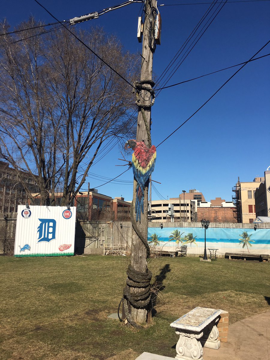 whaler32's tweet photo. #OldMiami #Detroit #Backyard https://t.co/s03eNWoYPQ