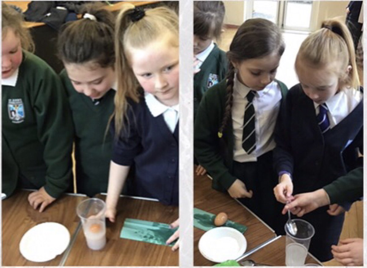 KillowenPS's tweet photo. @StJohnColeraine P4 Scientists learning through investigation #ExplainingLearning #STEM #LivingandLearningTogether https://t.co/gAEHI1laOv