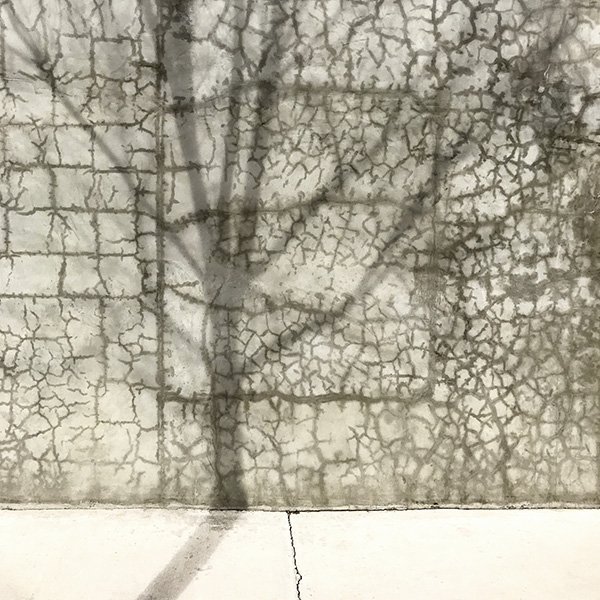 ♥️ shadow ♥️ texture ♥️ street ♥️

#inspiration #onthestreet #sherrygriffinphoto #sherrygriffinphotography #shadow #texture