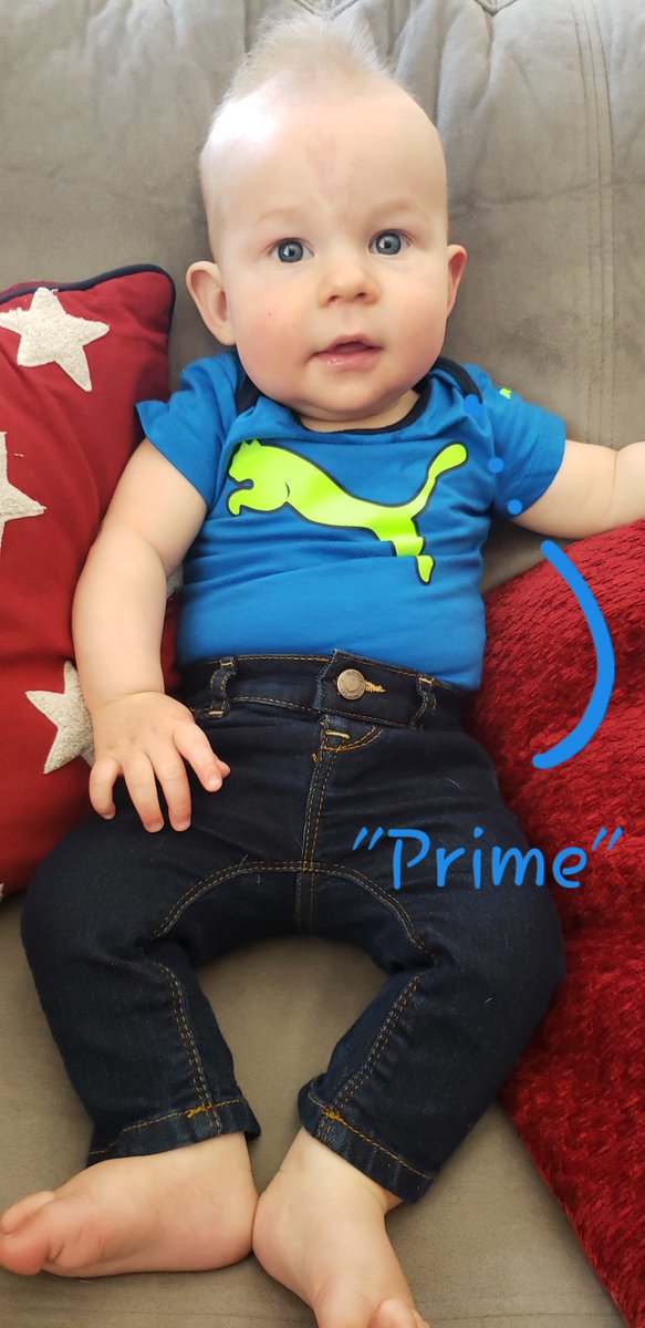 AnitaVanProyen's tweet image. #Anita VP Blog: bit.ly/2TYMC4e

I texted my niece a pic of my baby, looking extra cute.  She responded with, “That’s so prime.”  I’m amenable to any compliments about my kid, but the first thought on my mind was “Ama…zon… Prime?”  

#LinguisticsFun #doubleententre