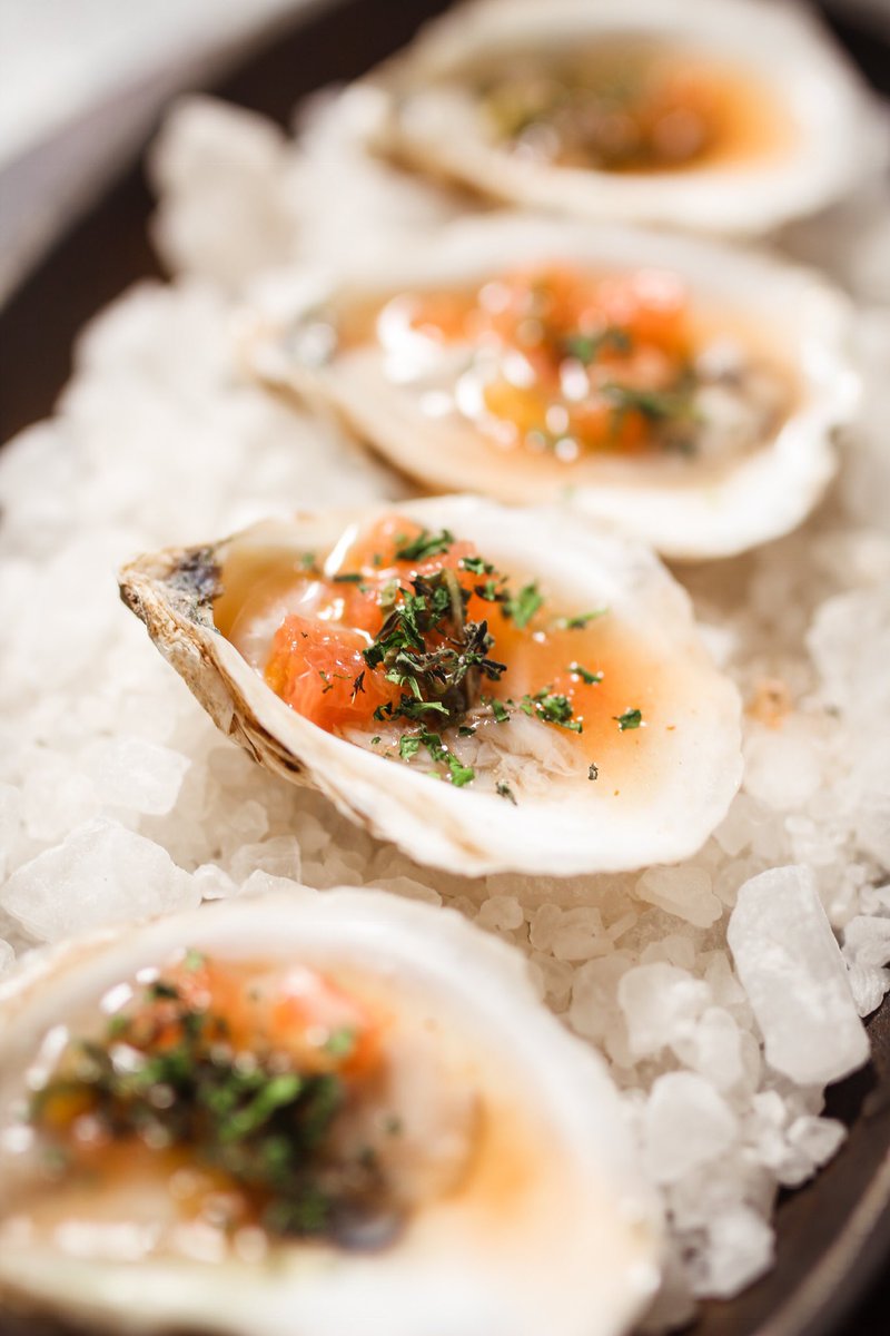 Fresh seafood always takes my mind to the summer sun ocean side on the beach 🏖 ☀️
Raw Oysters, pink grapefruit, sriracha vinaigrette

#TavernTuesday #AmericanBounty #CIA #Oyster #Seafood #Delicious #Healthy #seafoodlove #Ocean #NY #HudsonValley