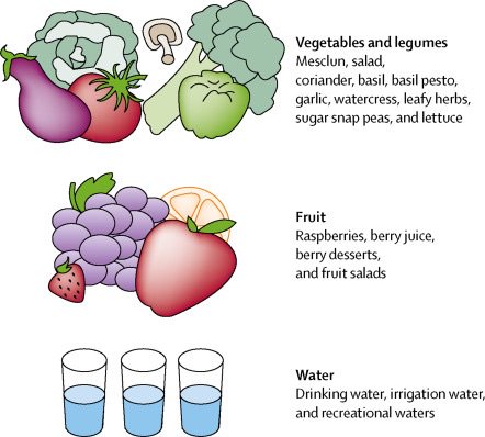 veupathdb's tweet image. Nice review on human cyclosporiasis. Also, check out the genome in #ToxoDB  doi.org/10.1016/S1473-…