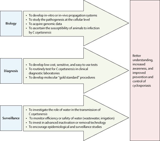 veupathdb's tweet image. Nice review on human cyclosporiasis. Also, check out the genome in #ToxoDB  doi.org/10.1016/S1473-…