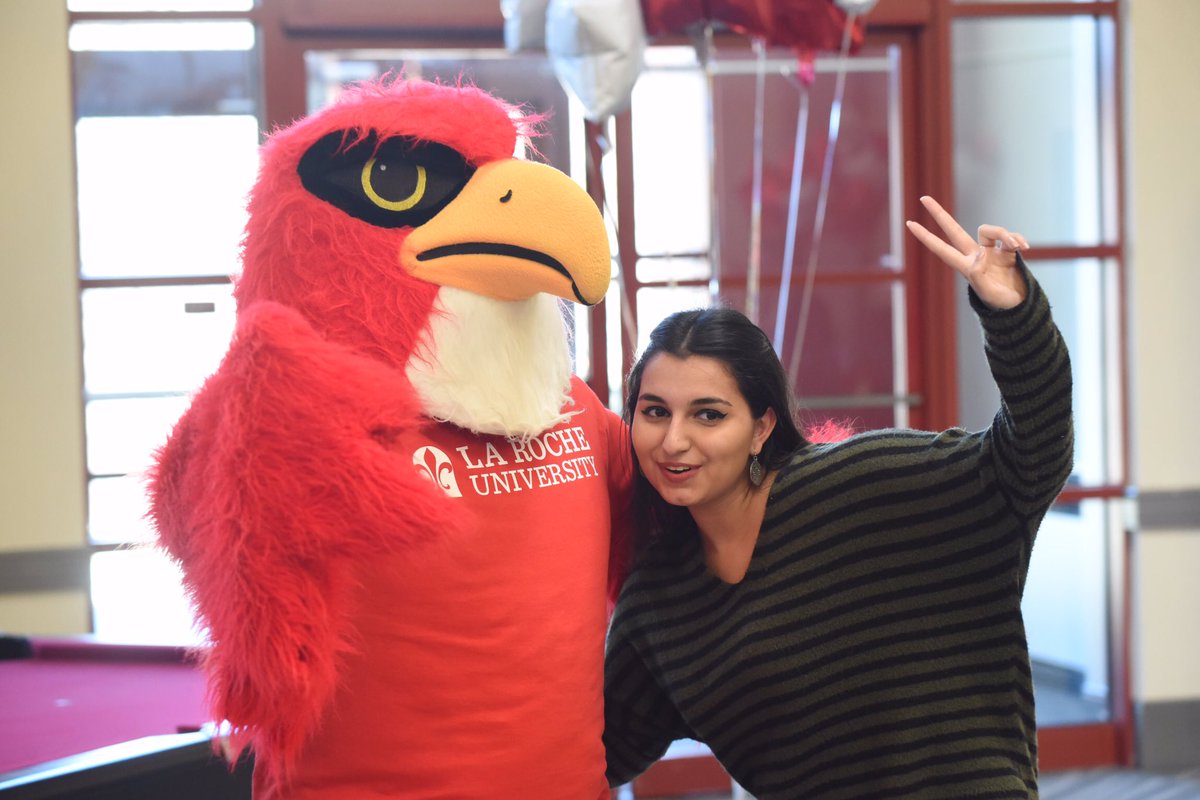 La Roche Service (LaRocheService) Twitter