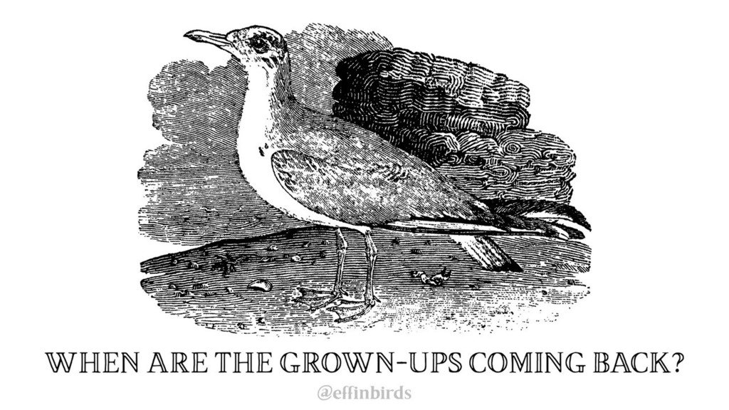 EffinBirds's tweet photo. https://t.co/dYnDs9APWi