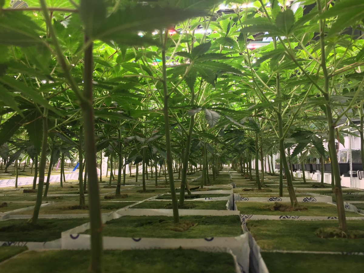 <a href="/edlikesmusic/">Ed Bentzen</a> Thanks to the #science geniuses at <a href="/outcosd/">outco</a> in Southern California for the recent tour and opportunity to capture some gorgeous photos. Outco is proof that indoor can be done right (I've toured the facility and interviewed the scientists).