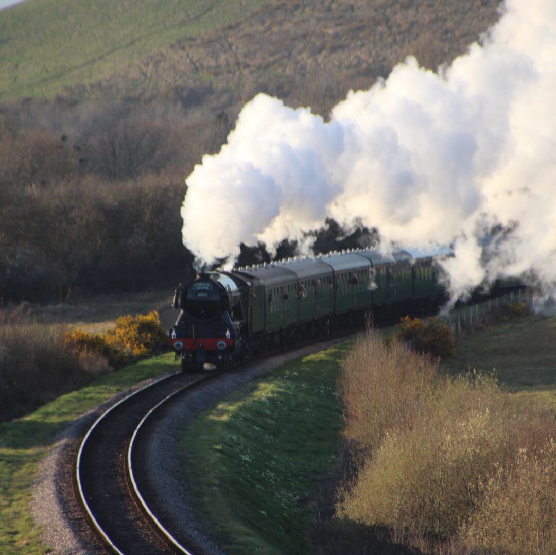 Phil_Reay's tweet photo. Nice afternoon for a motorcycle ride to Corfe Castle to see the Flying Scotsman. Then a bit of practice of IPSGA on the way home. #FlyingScotsman #swanagerailway https://t.co/OROfIRW99z