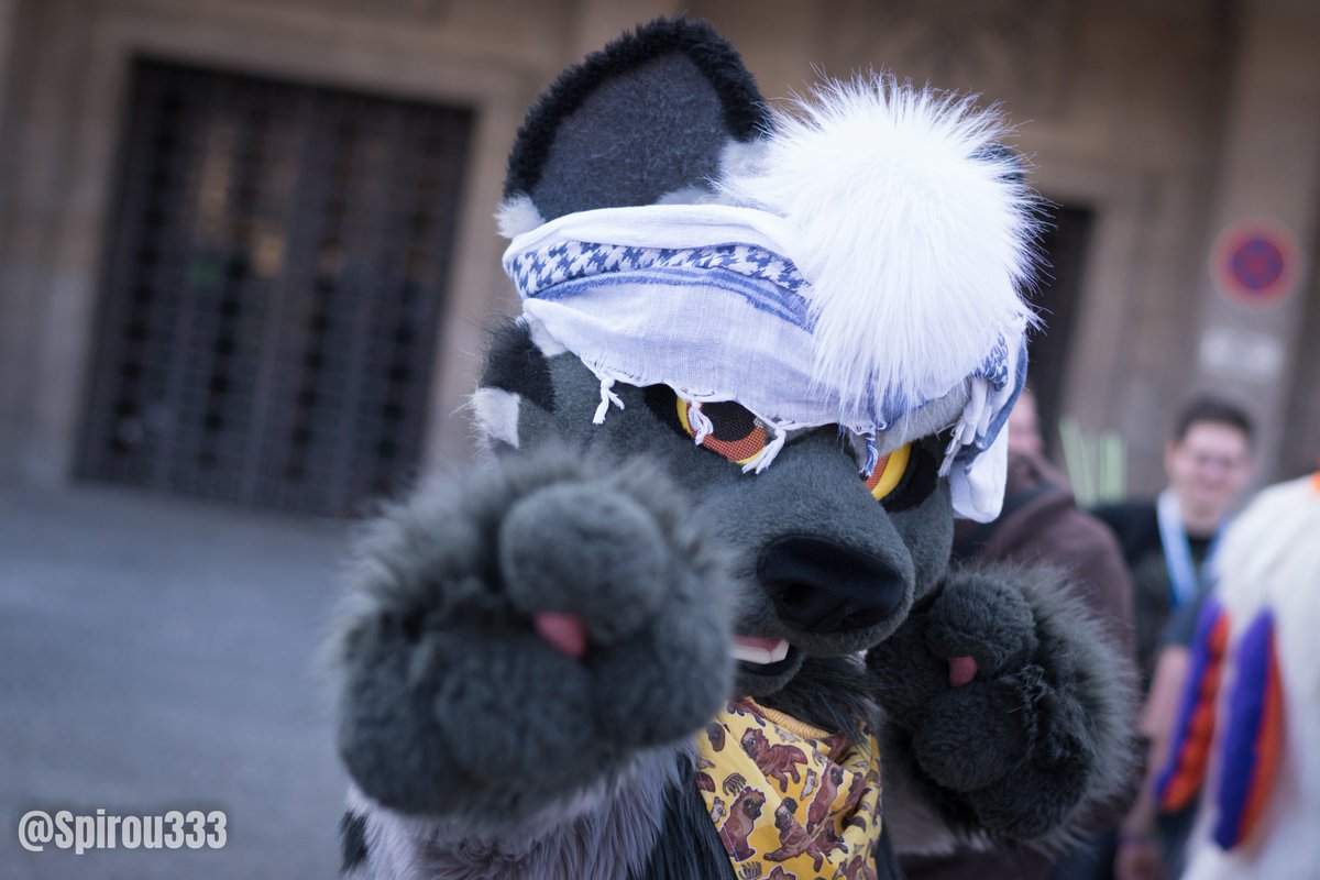 Spirou333's tweet photo. Here are my photos from the #suitwalk in #Munich. All edited and uploaded: https://t.co/Wbv62WzFE0.
Thank you my cute @NebulousRoyale for the wonderful time.
#MSW6 #Furries #Fursuit https://t.co/MaTG5scGsb