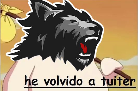 WildWolfEsports's tweet photo. https://t.co/YdHVGFb3Oz