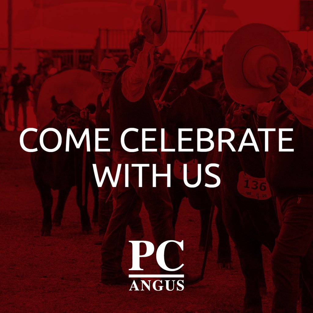 pinecreekangus's tweet photo. Celebrating 100 years of Angus #AngusAustralia #SydneyRoyalEasterShow #PineCreekAngus https://t.co/IZrAcHNqLM