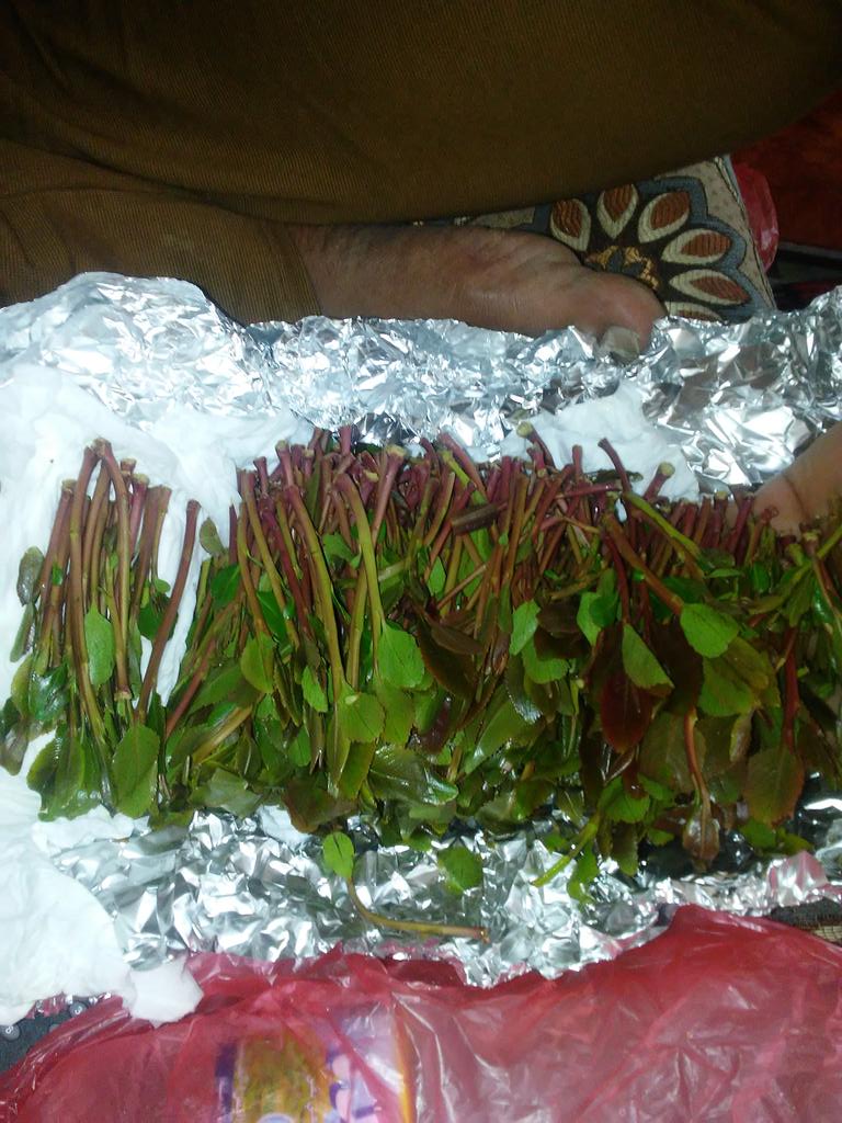 ممكن سالب صغير في شحن يكون جااااد  خرمان بعد القات