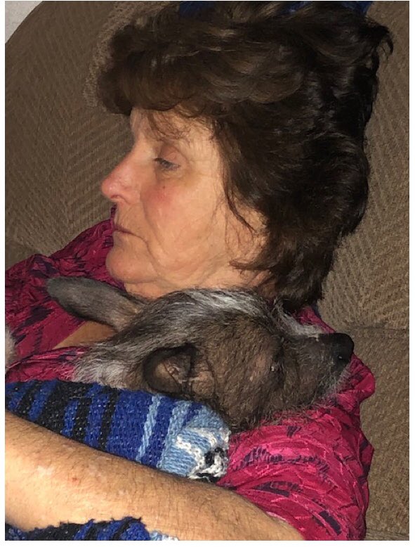 PSPTroopEPIO's tweet photo. PSP Franklin is searching for 59-year-old female, Nancy Kowalski, who may have left UPMC-Northwest on foot during the day 3/26/19. Last seen at approx. 7:30 am. Wearing blue jeans, tennis shoes, either a purple/magenta coat or black fleece. Any info please call 814-676-6596. https://t.co/H7dluCohDE