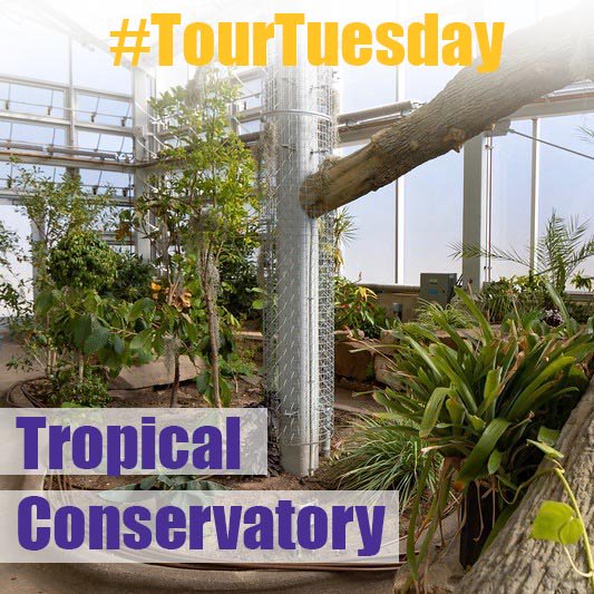 #TourTuesday is taking place in the tropical conservatory in the 🆕 Chemistry Biology Building. 🌿 Though it's not open yet, Aaron and Katy from admissions will be giving us a sneak peak of all of the plants! 🤗 Follow us on Snapchat 👻 [uwstevenspoint] to check it out! 👍 #UWSP