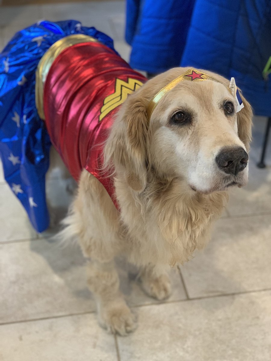 H2Ogirl11's tweet photo. My word @ErinOnMix. Look at this girl. Thank you for your love and support. @dougmeehan #Tucket #YOLOsummer #WonderWoman #WonderDog https://t.co/kgPyGVVPKK