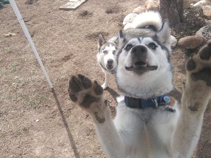 Please make a meme out of this https://t.co/WHS74oeW8N