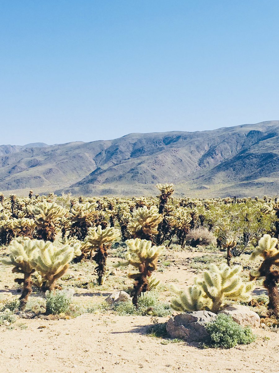 AFPAElliott's tweet image. Thanks to @RedJeepTours for the adventure/education around San Andreas Fault &amp;amp; the beautiful but desolate scenery of Joshua Tree National Park. #hiddenvalley #skullrock #amazing @JoshuaTreeNPS