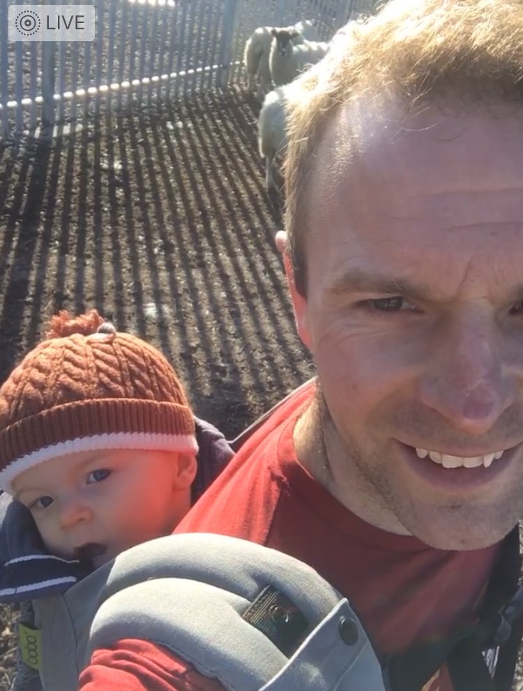 BeckiReay's tweet photo. Hubby sent this pic of him & the boy yesterday sorting ewes to bring home for the start of lambing #DadAndLad (we have land adjoining electric sub station hence fencing!) #FarmingMonday https://t.co/dN0VcEb1tx