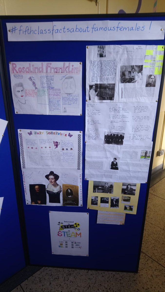 Ms_O_Sullivan's tweet photo. Check out the projects our fifth class students have been working on #featuringfantasticfeministfluviologists #allthegoodsciencepunsArgon #runningoutofSTEAM https://t.co/BwjSHC5jW5