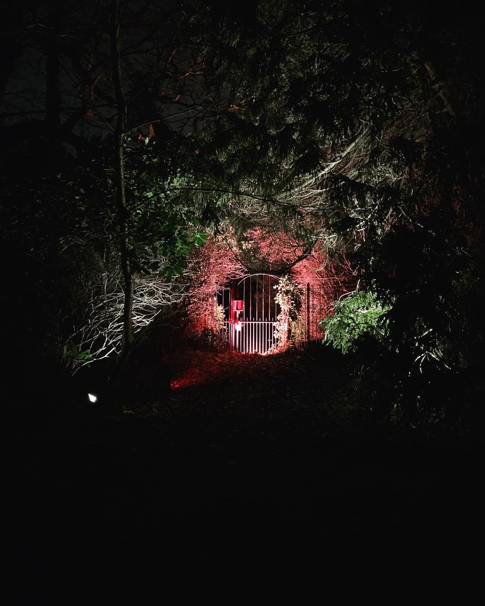 rosebruford's tweet photo. Congratulations to all competitors in this years @SLL100 Ready Steady Light competition. The campus look beautiful from every angle.
Check out the @SLL100 twitter feed for details of the winners.
#sllrsl2019 #sllrsl #lightingdesign #lightingchallenge #rbc https://t.co/ou5Hw6iBcB
