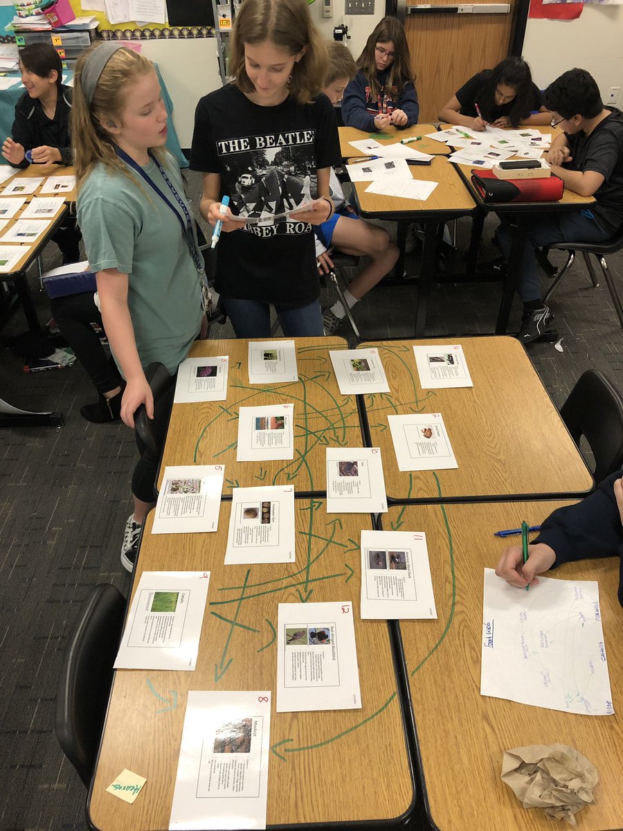 HearnsScience's tweet photo. Which Organism Do They Remove? Our 7th graders are collaborating with their peers while creating a Swampy Marsh food webs. #TrentScience #FriscoFutureReady https://t.co/wBIzG5Xedf