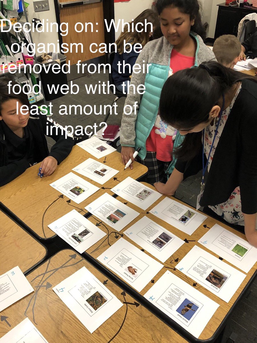 HearnsScience's tweet photo. Which Organism Do They Remove? Our 7th graders are collaborating with their peers while creating a Swampy Marsh food webs. #TrentScience #FriscoFutureReady https://t.co/wBIzG5Xedf