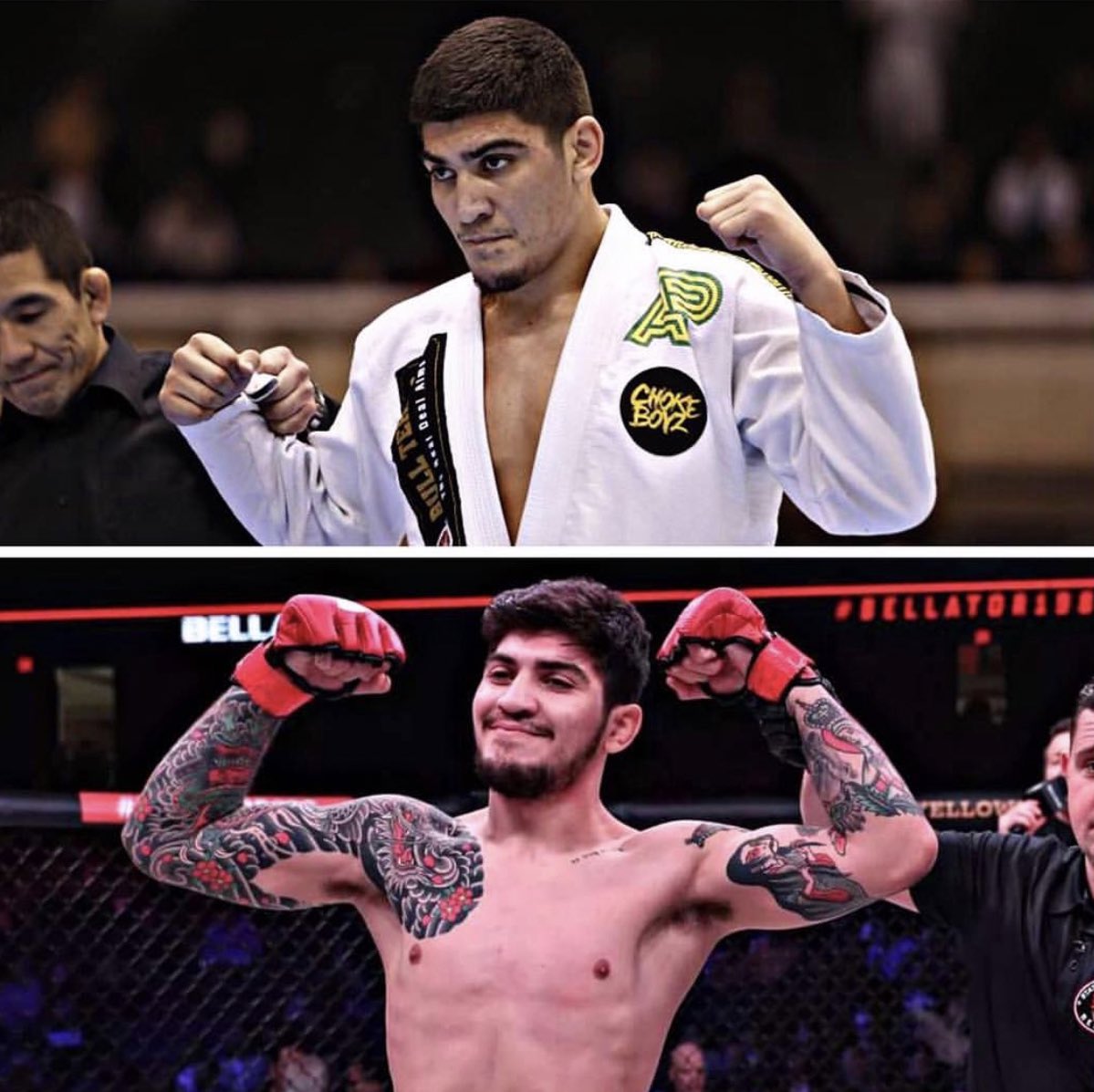 dillon danis jiu jitsu