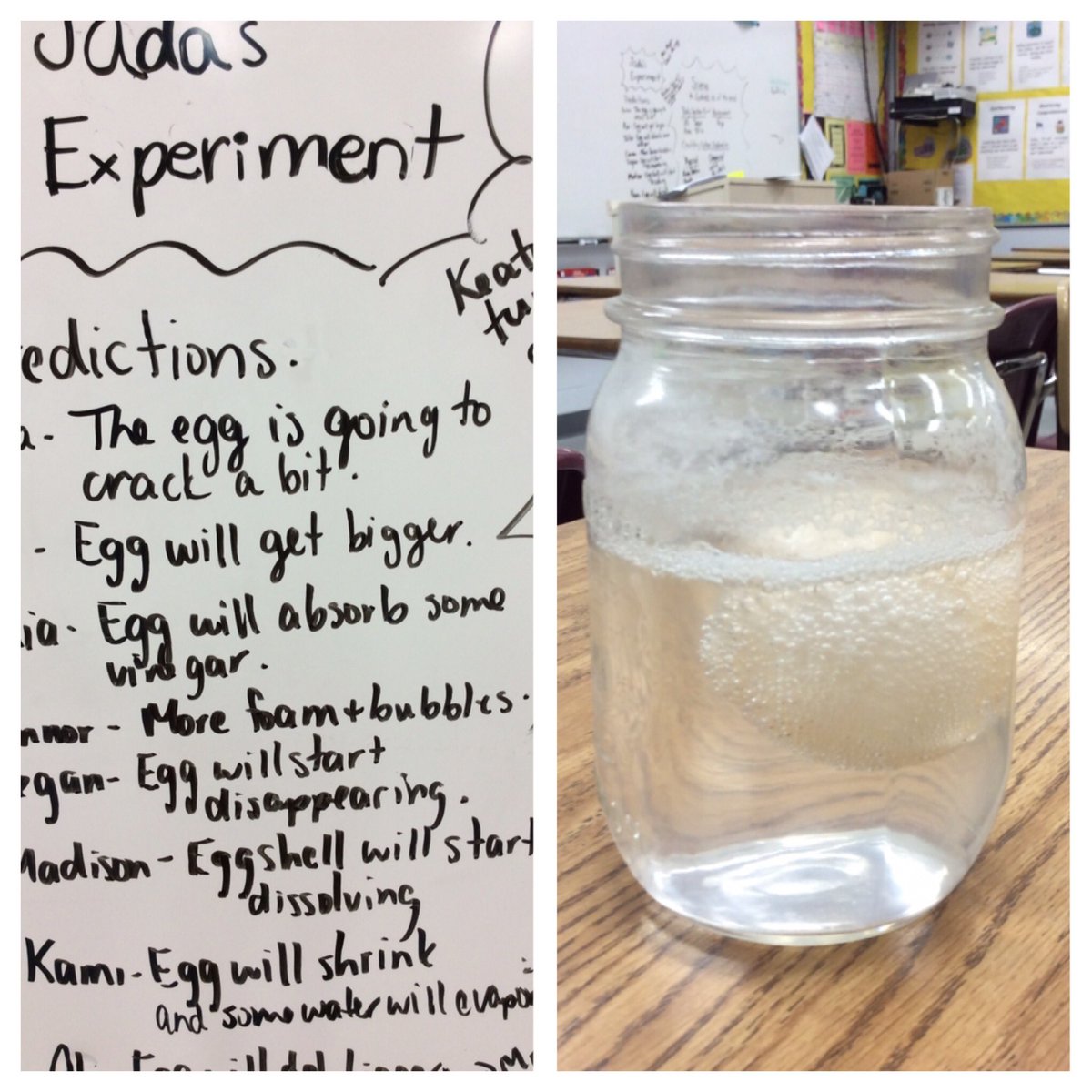 upsgrade4T's tweet photo. Having fun with chemical and physical reactions - What will happen to the egg in the vinegar? #reactions #scienceexperiments https://t.co/AYclXCwmBw