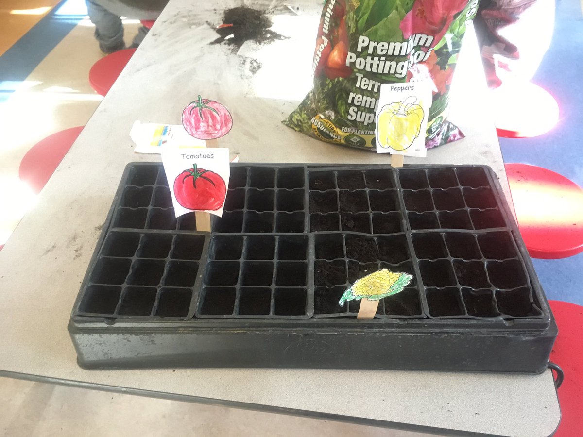 And our garden club is off to a great start! 🌱 🍅 🥦 Thanks  Stoney Health Services for working together with us to make this happen! #NESgardenclub #schoolgarden <a href="/NakodaSchool/">Nakoda Elementary</a>