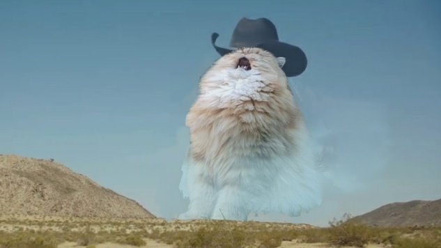 Screaming cat in cowboy hat over arid mountains meme.
