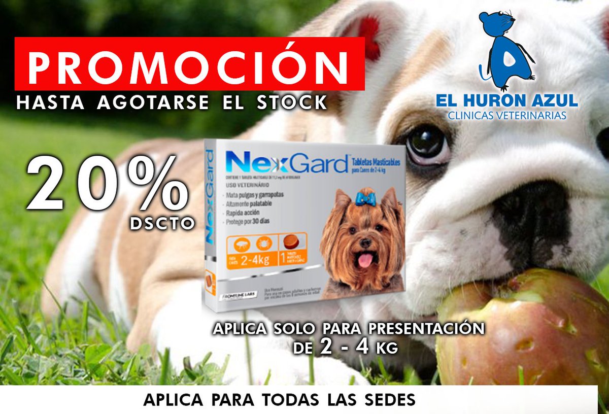 ElHuronAzulVet's tweet photo. ‼Aprovecha Nuestra Promoción‼
Ahora Tenemos Para Ti 20% De Descuento Nexgard  
APLICA SOLO PARA LA PRESENTACION DE 2 A 4 KG. 
HASTA AGOTARSE EL STOCK.
#elhuronazul #porquetumascotamerecelomejor #elhuronazulvet https://t.co/ddS23tMkNm