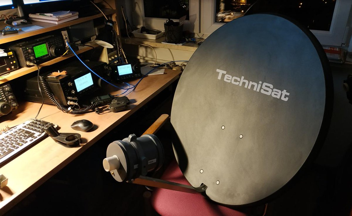 SP5MG PETER tweet media