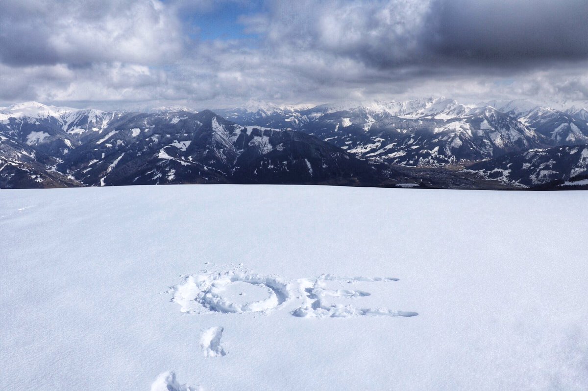 We left our traces on the top of mountain, and Campbell found us!😁 @credgington_lab @BHDrummond @DSowood <a href="/cathygu31/">Cathygu31</a>