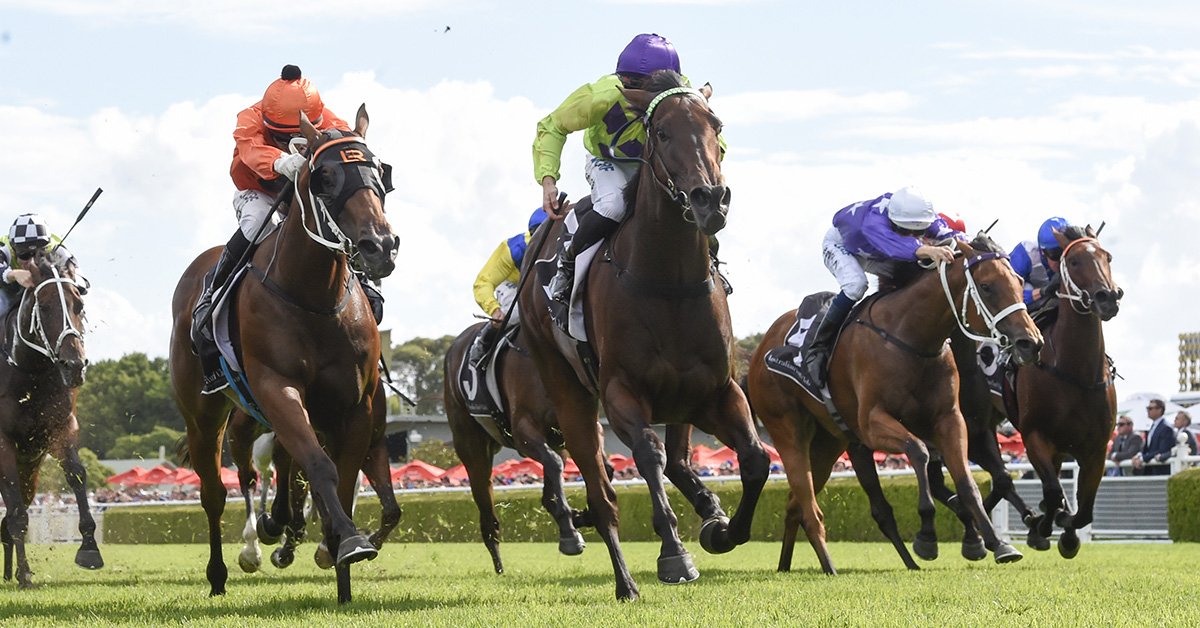 Australian Turf Club (@aus_turf_club) on Twitter photo Race fields are out for Stakes Day this Saturday <a href="/rosehillgardens/">Rosehill Gardens</a>. Another big day of racing with the likes of Alizee, Nakeeta Jane and Avilius all in action. See the full fields here: racing.australianturfclub.com.au/meeting/3347 #theraces #rosehillgardens Race fields are out for Stakes Day this Saturday <a href="/rosehillgardens/">Rosehill Gardens</a>. Another big day of racing with the likes of Alizee, Nakeeta Jane and Avilius all in action. See the full fields here: racing.australianturfclub.com.au/meeting/3347 #theraces #rosehillgardens