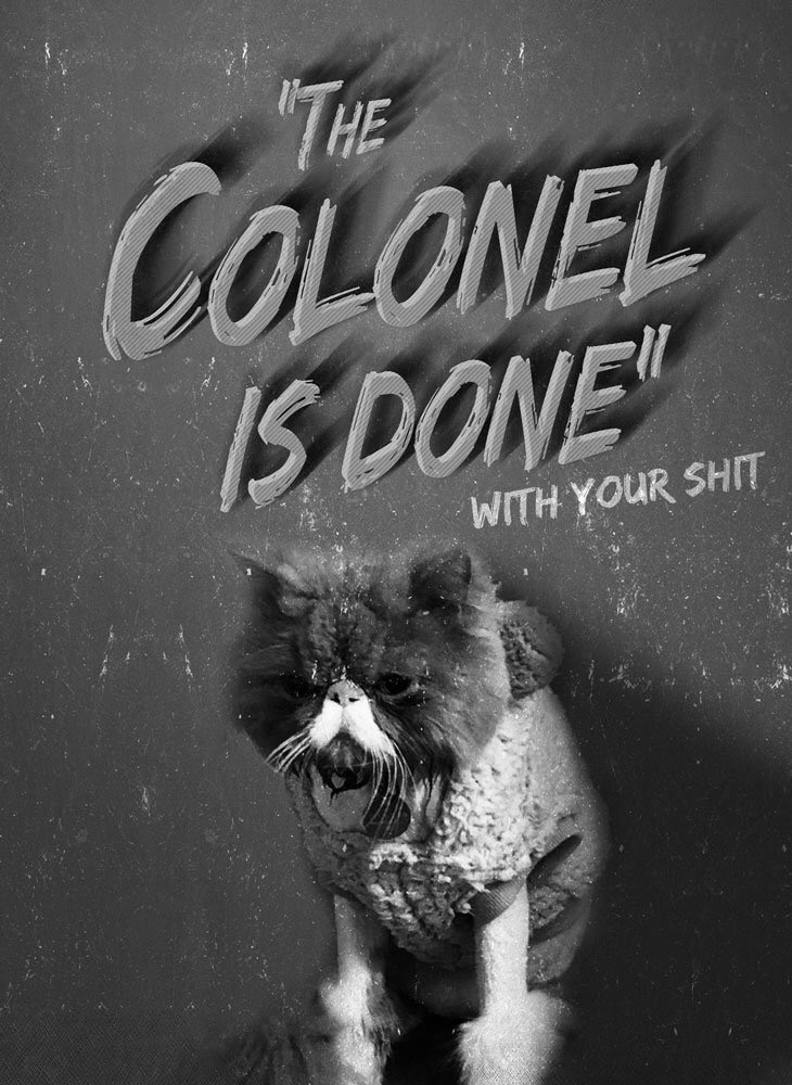 AmyDresner's tweet photo. @bkyoungus killing it again with a Col Puffy masterpiece! #digitalart #catart #oldmovieposter #colonelpuffpuff https://t.co/U0nk0coz42