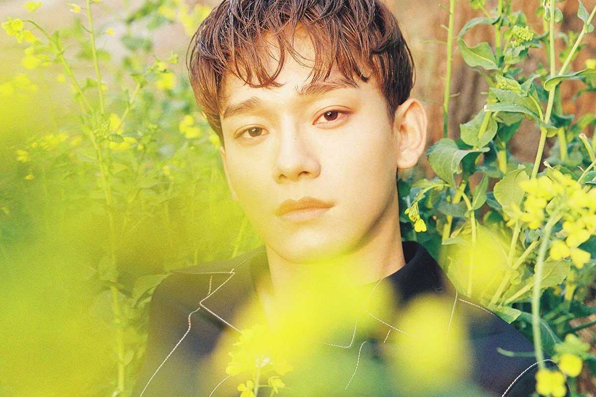djmosquitoOK's tweet photo. ¡Salieron nuevas fotos teasers para el debut solista de #CHEN del grupo @weareoneEXO! 🌻 ¿Estás esperando el lanzamiento de #April_and_a_flower? 💞 https://t.co/uSChjzmizf
