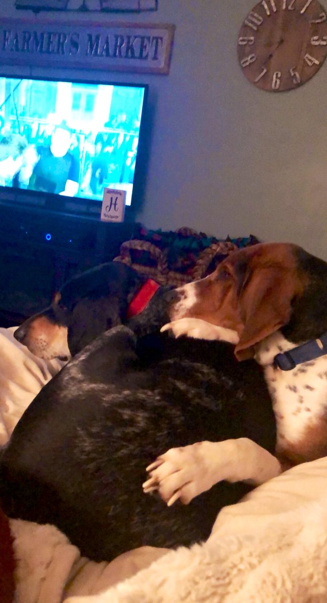 hammeska's tweet photo. I love these two #myboys https://t.co/MIB86VASbU