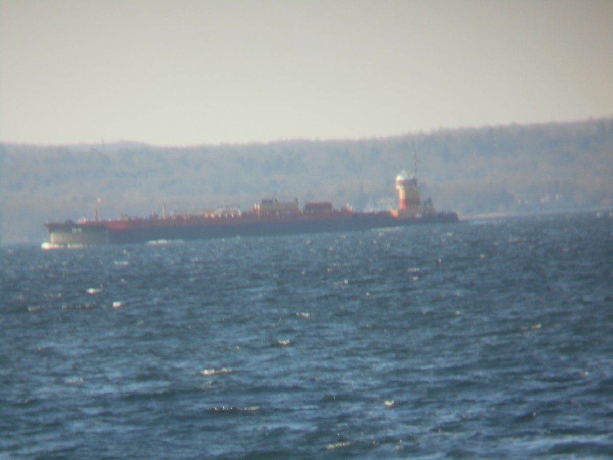 freightboy1's tweet photo. #Reinauer #tugboat KRISTY ANN blt 2018 at #Senesco downbound on #LI_Sound from #Boston near #Greenwich pushing empty #fuel #barge https://t.co/cpV3YPqntU