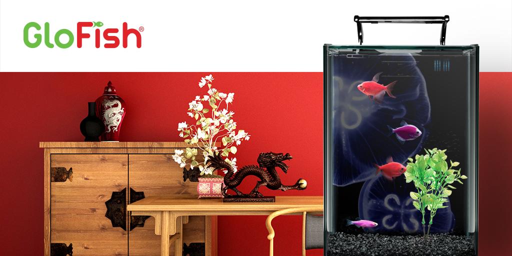 Starfire Red® #glofish are a versatile accent choice for rooms with black, blue, white, yellow, grey and dark green décor or furniture.   
]#fishfashion #glofashion  #interiordecorating  #interiordesign