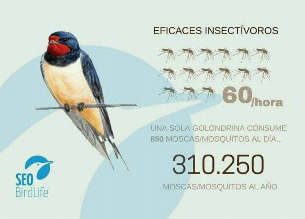 Rafa Vega Pozuelo tweet media