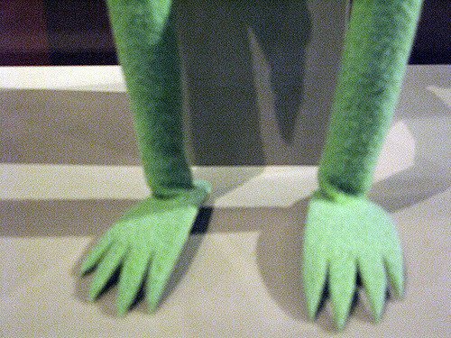 DatBoiKermit tweet picture