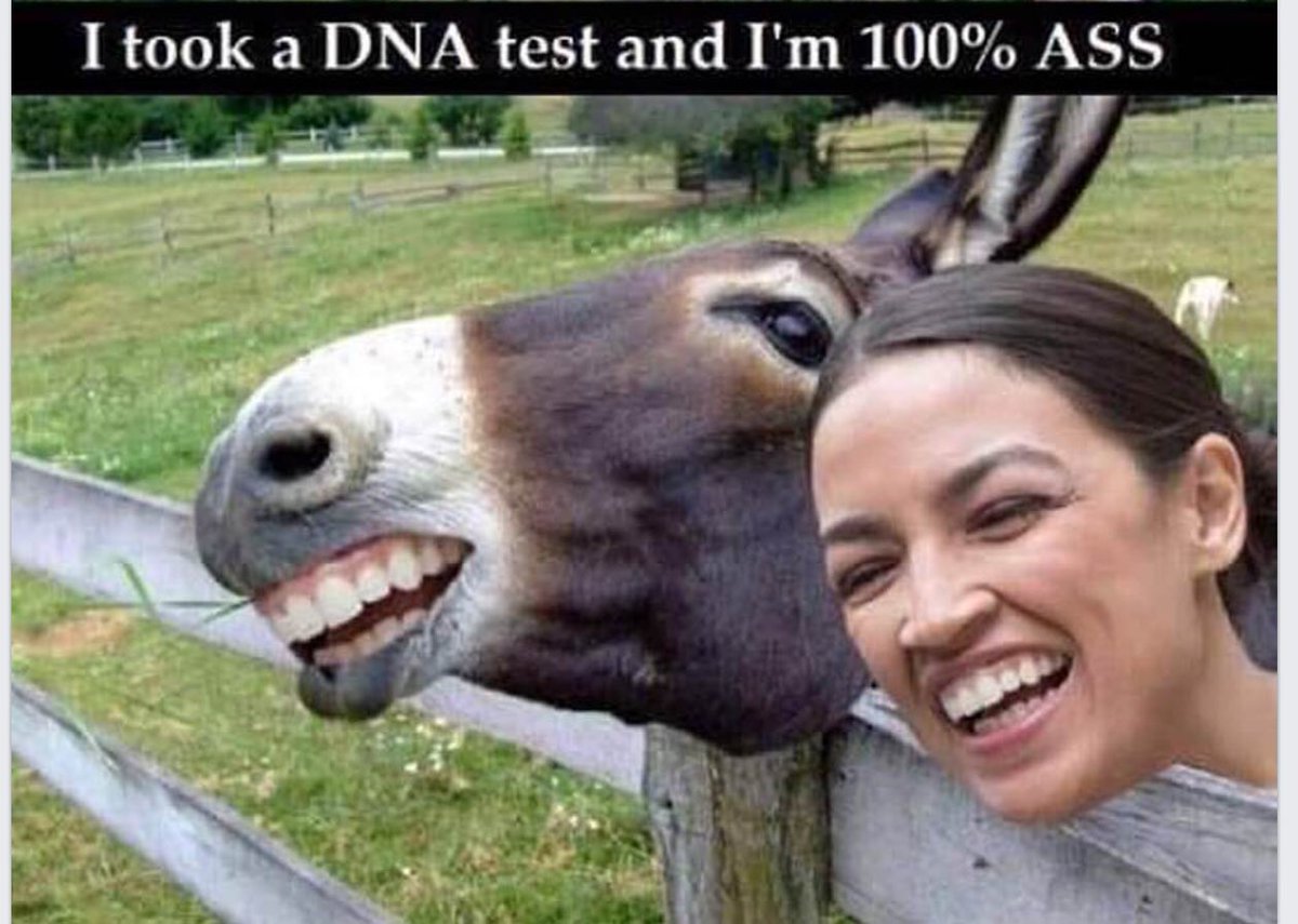 bob_paust's tweet photo. @davidmweissman @briantylercohen @AOC You sir are a jackass just like her https://t.co/9ozT2SHIaK