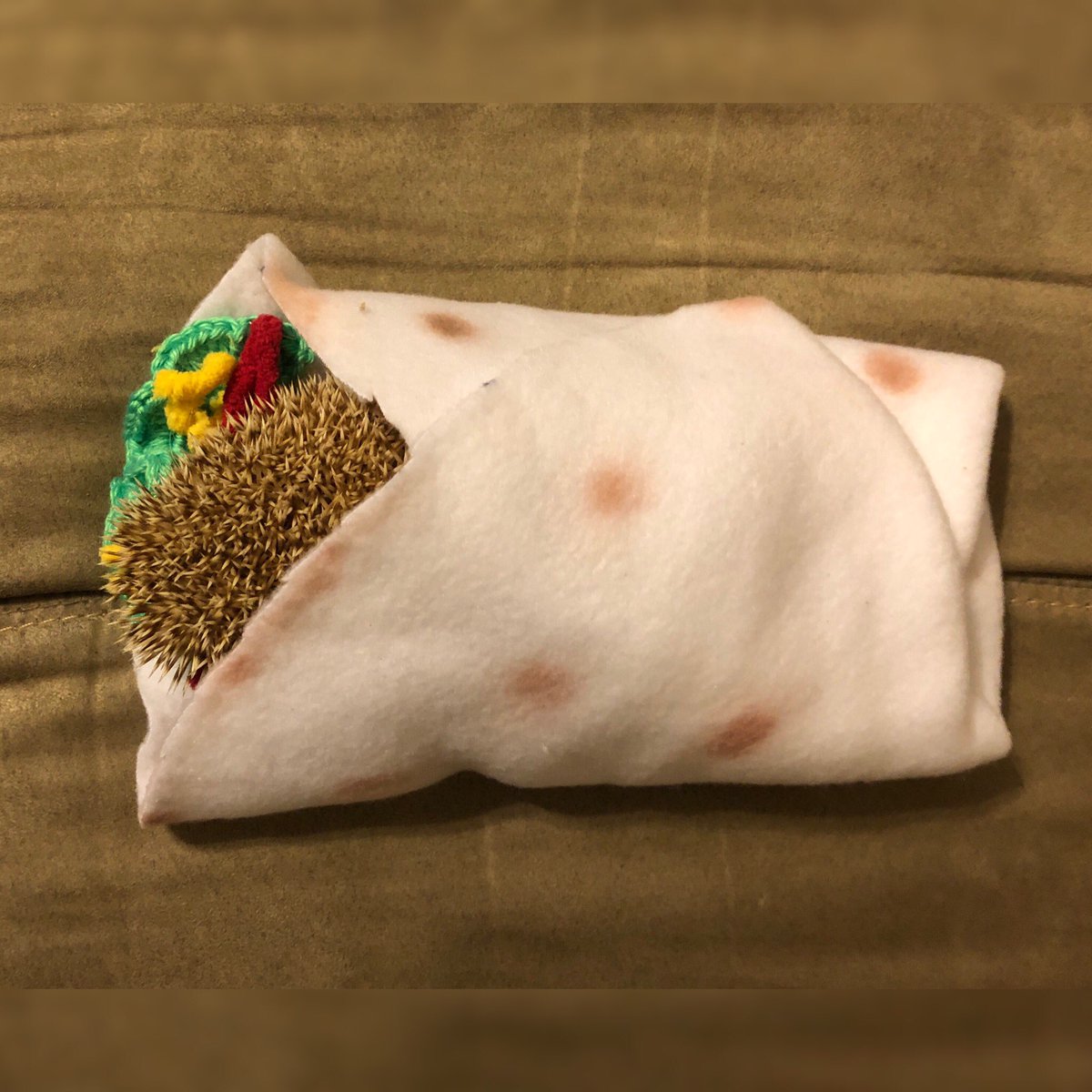 GadgetHedgehog's tweet photo. Can’t be a #purrito or a #grrrito so I hope #throwthrowburrito will like my #burrito attempt. I present #hedgito! @gameofkittens @kickstarter https://t.co/RCGm5q8f0f