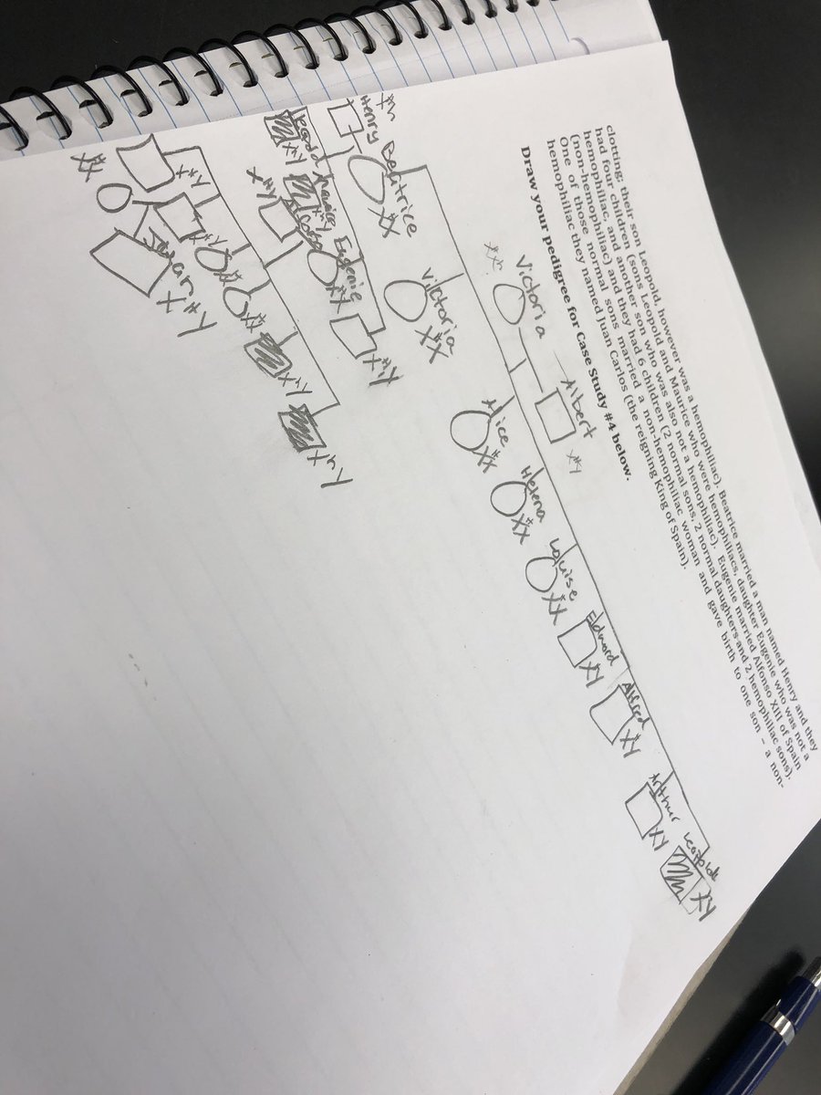 Dzingle2's tweet photo. Man, this family has bad blood @UNKBiol106AC #106Week11ACS19 https://t.co/PhjWBrfnyy