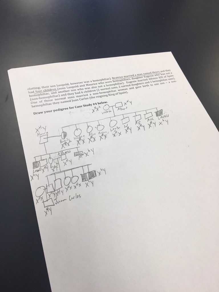 dspilinek's tweet photo. Pedigree of a royal family 👑 @UNKBiol106AC #106Week11ACS19 https://t.co/x1JftKJUA3