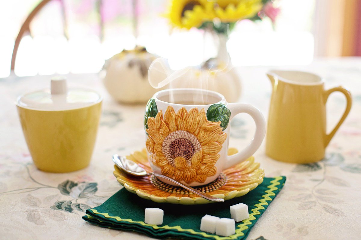 Imagen_Mx's tweet photo. 🍵 ¿Tomas mucho té caliente? Podrías desarrollar cáncer https://t.co/KuG7ioY8gU https://t.co/XfKt2M2yjc