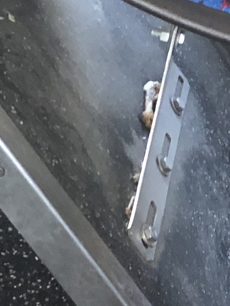 Ben Geadelmann tweet media