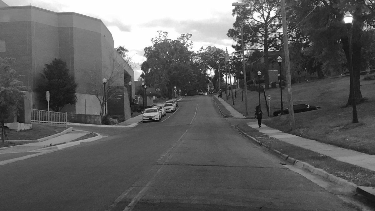 MoreRealDistill's tweet image. Just starting the journey, that first walk up the hill.