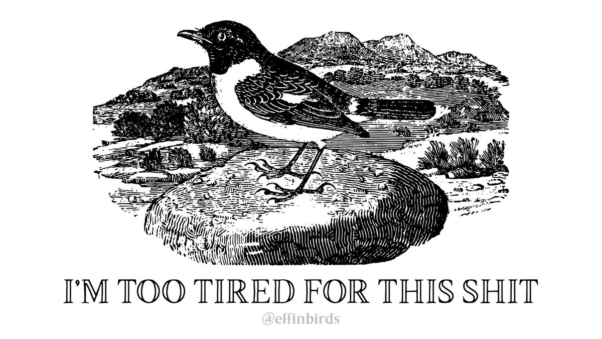 EffinBirds's tweet photo. https://t.co/WnidzLybcQ