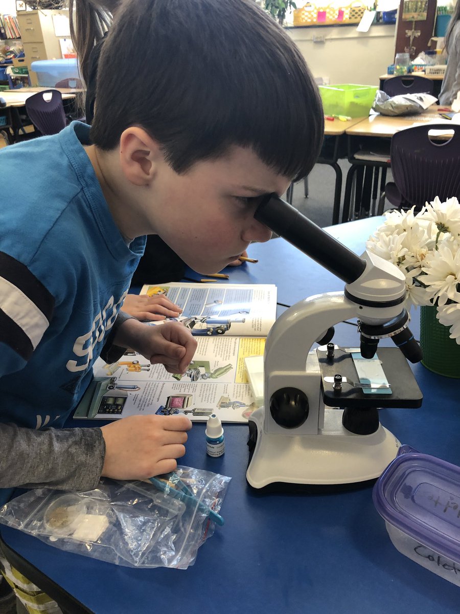 emicarleyvt's tweet image. New tools for looking closely at a sample of Common Leopard Gecko skin! @mrpsvt @OfficialNGSS #firstgrademagic